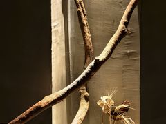 -森SPA·泰式按摩·精油Massage(宝安中心店)