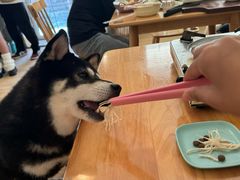 -柴の食堂·日式家庭料理·熊之肆(大学路店)