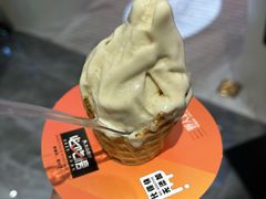 -野人先生现做冰淇淋(西安赛格店)