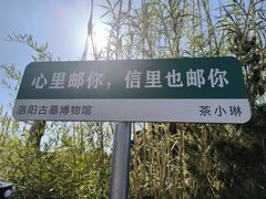 -洛阳古墓博物馆