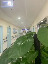 -成都军建医院·疤痕诊疗中心