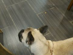 -非常粥道(天宝东街店)