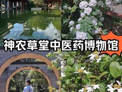 -广州神农草堂中医药博物馆