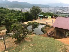 -岚山猴子公园
