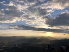 -长虫山生态公园风景林