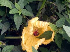 -东天目山风景区