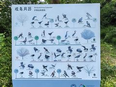 -同里国家湿地公园