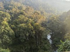 -野象谷景区