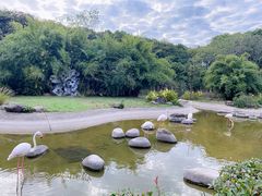 -顾村公园
