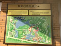 -大塘金香草谷