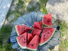 -南汇新场正宗水蜜桃采摘