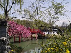 -盆景园(扬州大运河文化旅游度假区)