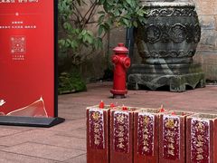-峨眉山报国寺