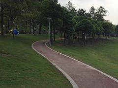 -美兰湖景区