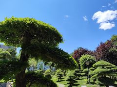 -清华大学-紫荆园餐厅
