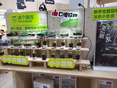 -中国湿地博物馆