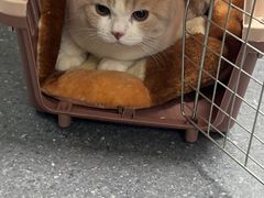 -伟伟宠物医院·CT影像中心·瑞派犬猫综合性门诊(汉口总院)