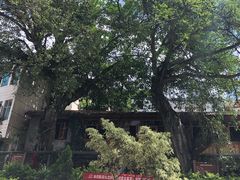 -相约小筑缅泰文化餐厅(临沧·强力广场店)
