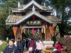 -云南民族村