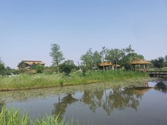 -宁波杭州湾国家湿地公园