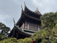 -龙华素斋(龙华路店)