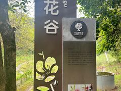 -中山市树木园