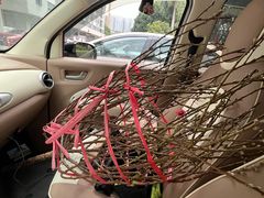 -南国桃园旅游度假区