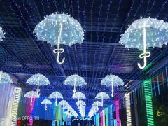 -杭州浪浪浪水公园