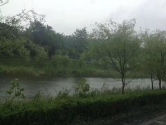 -黄海国家森林公园