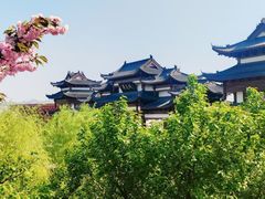 -威海华夏城景区
