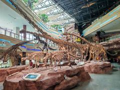 -安徽省地质博物馆