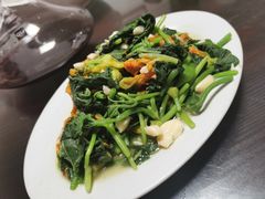 南瓜花-阿清嫂农家乐.黎窑烤鸡