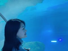 -石家庄海洋公园