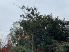 -老杨砂锅鱼庄