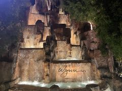 -拉斯维加斯永利酒店