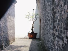 -个园