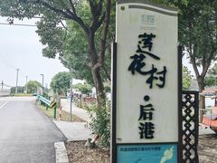 -莲花岛景区