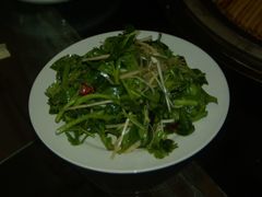 拌穿心莲-姥家大锅台水库渔家