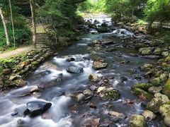 -广州市石门国家森林公园
