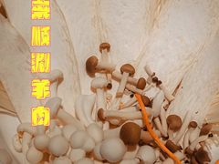 -东来顺铜锅炭火涮肉(上地华联店)