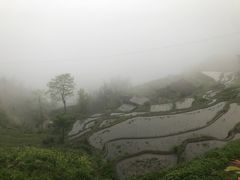 -紫鹊界梯田景区
