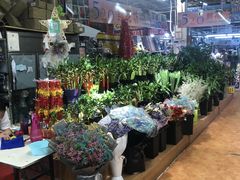 -大自然花鸟鱼虫市场