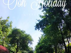 -重庆彩云湖湿地公园