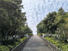 -青礁慈济宫