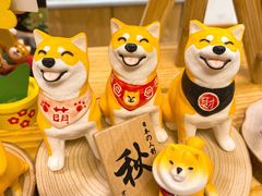 -豆柴町-柴犬主题狗咖(红鼎国际C座店)
