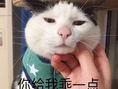 -成都大学-图书馆