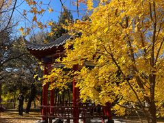 -平房公园