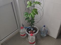 -苏小柳手作点心(控江旭辉分院)