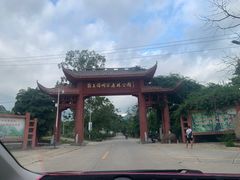 -海南霸王岭国家森林公园