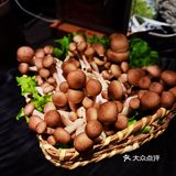 火锅我只爱凑凑